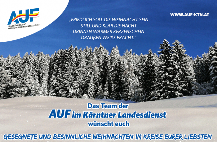 Wir wünschen Frohe Weihnachten und besinnliche Feiertage!